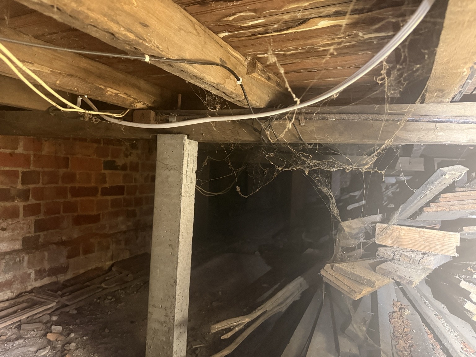 Accessible timber floor framing and supports inspected before purchase